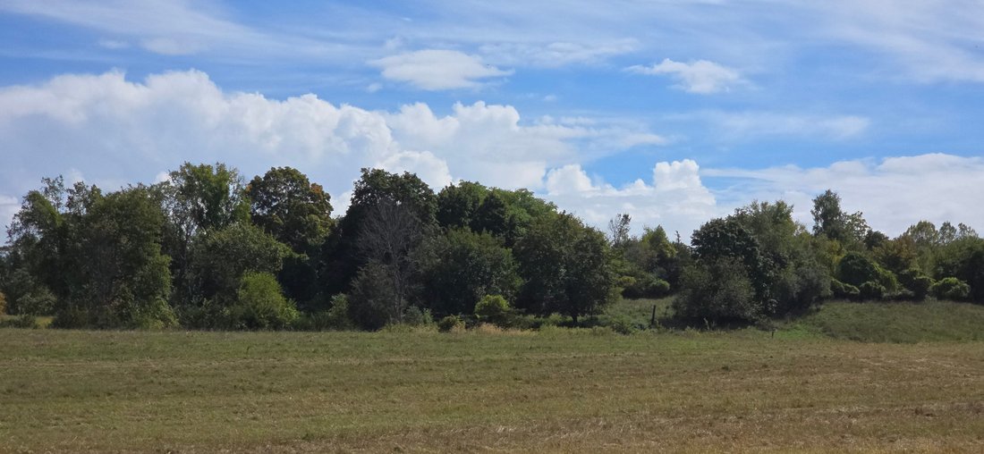 Farm Ranch in Hopewell Junction, New York, United States 5 - 16460108