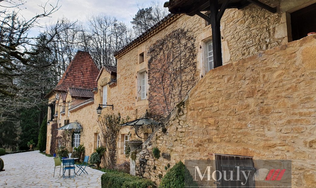 Castle for Sale in Prayssac, Occitanie, France