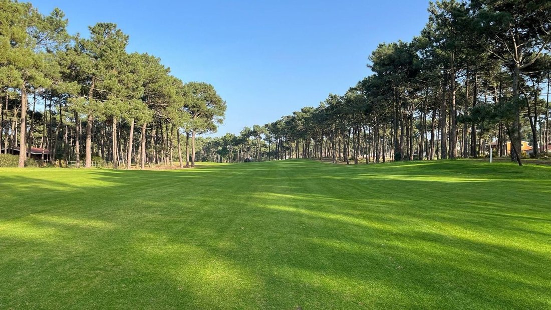 Villa in Quinta do Conde, Setubal, Portugal 4 - 16465739