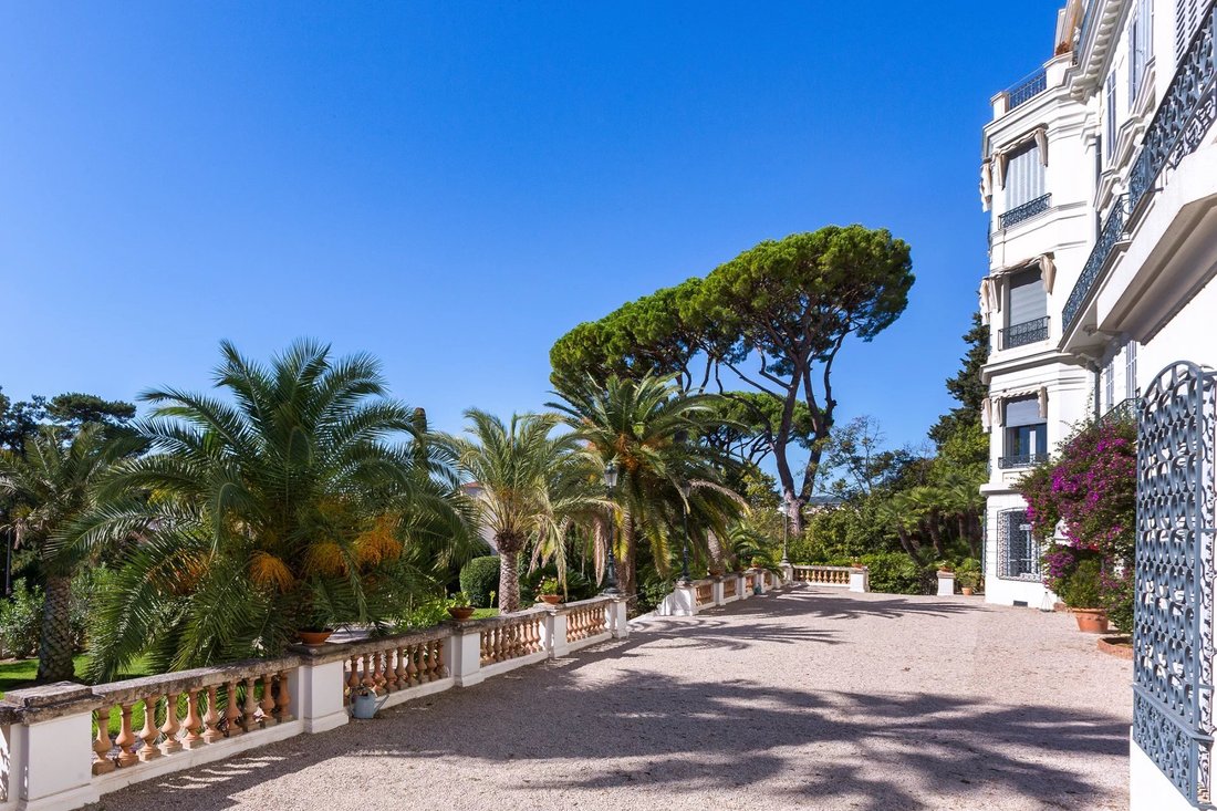Apartment in Montfleury, Cannes, France 3 - 16460772