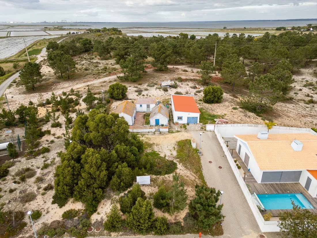 Comporta, Setubal, Portugal 3 - 16466067