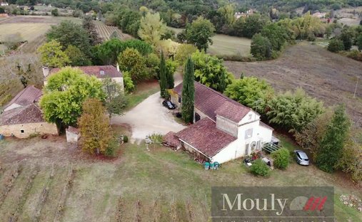 Castle for Sale in Prayssac, Occitanie, France