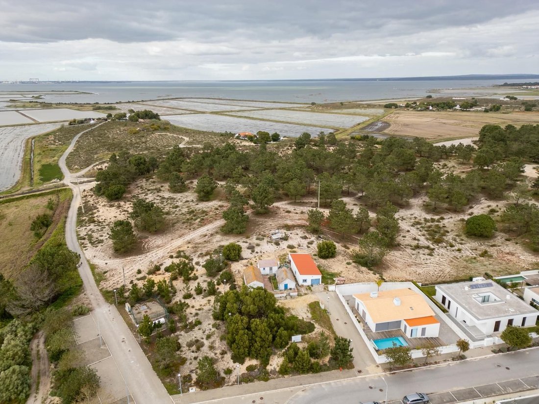 Comporta, Setubal, Portugal 5 - 16466067