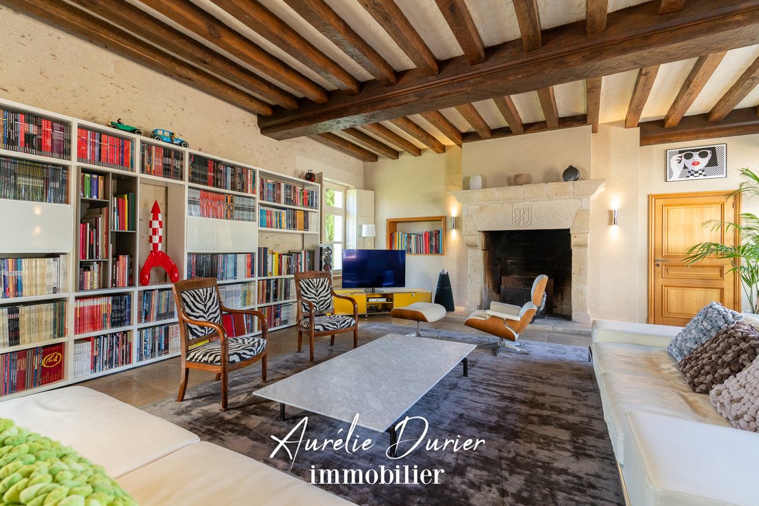 Estate in Grammont, Tours, France 3 - 16463173