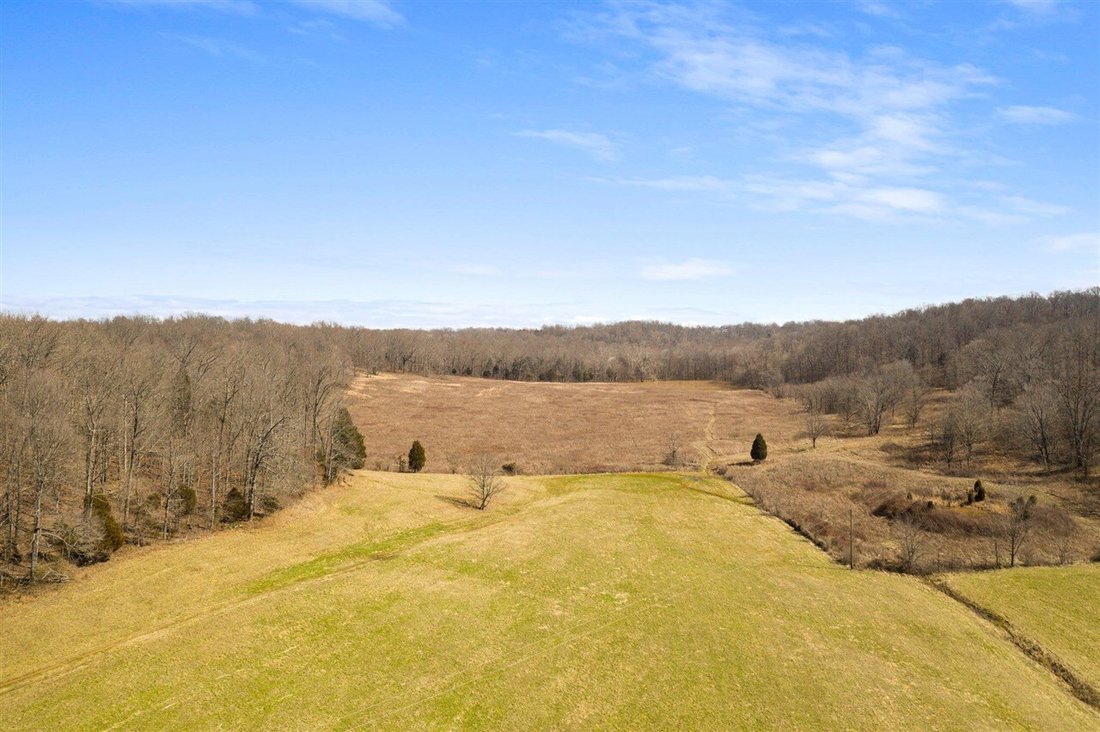 Land in Bowling Green, Kentucky, United States 3 - 16462193
