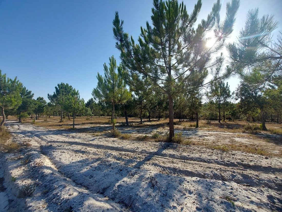 Land in Santo Andre, Setubal, Portugal 5 - 16465888