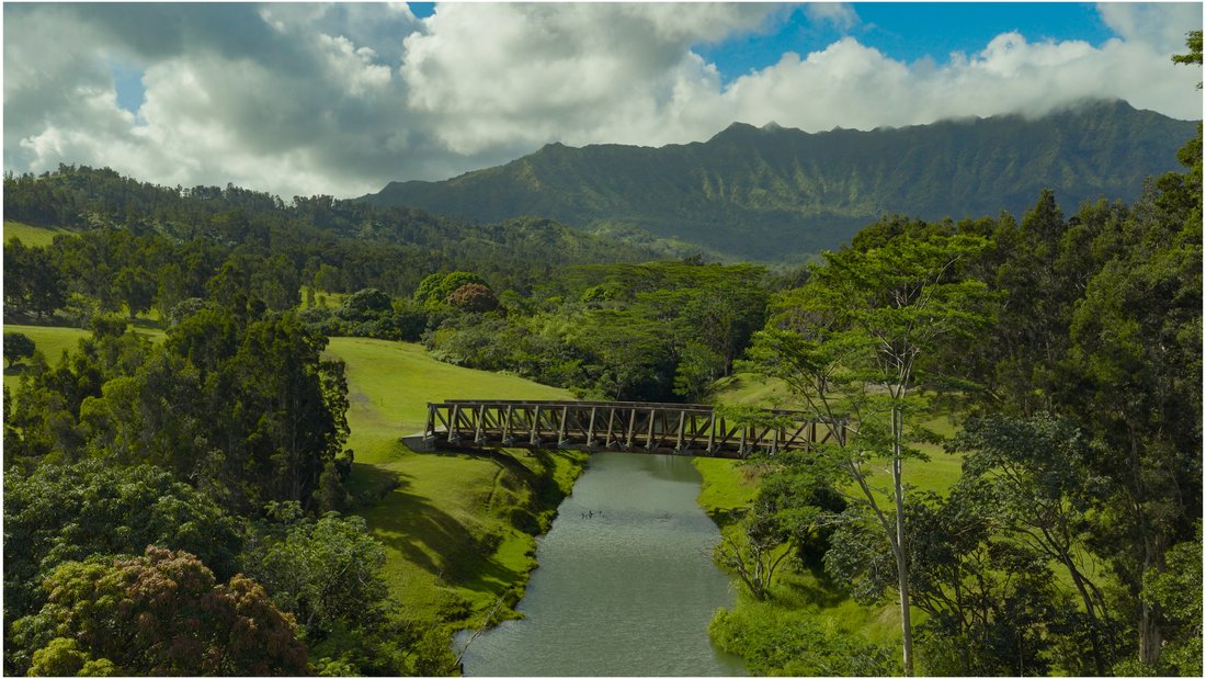Land in Kilauea, Hawaii, United States 1 - 16463758