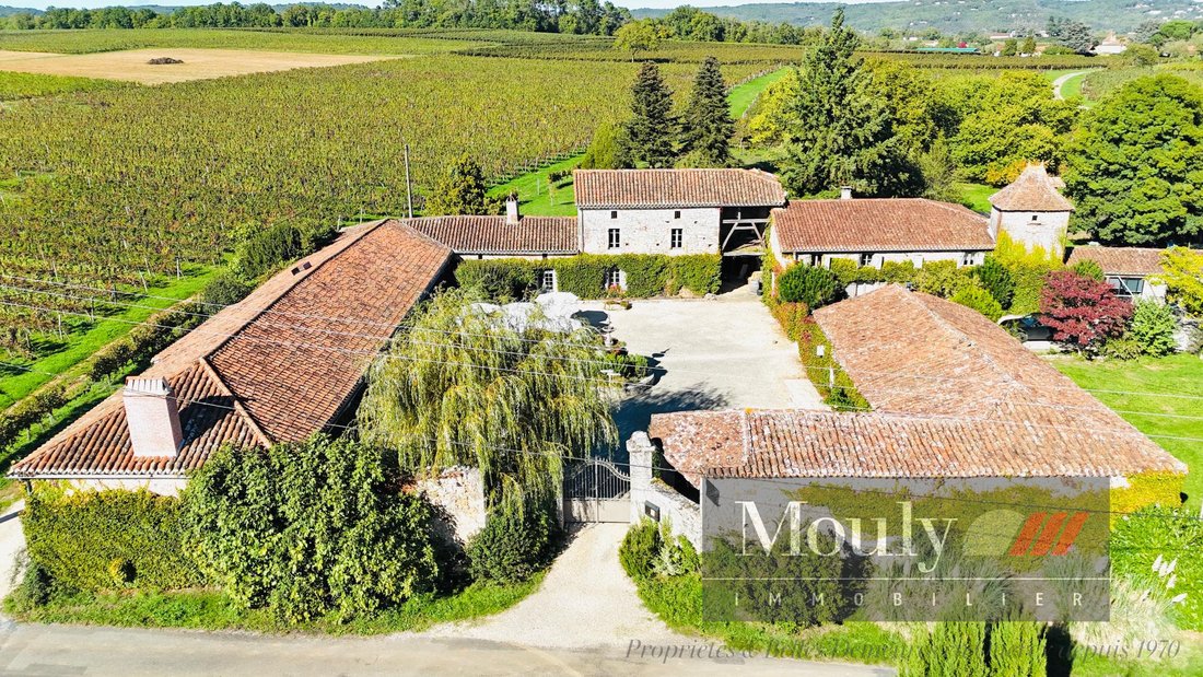 Estate in Prayssac, Occitania, France 1 - 16461877