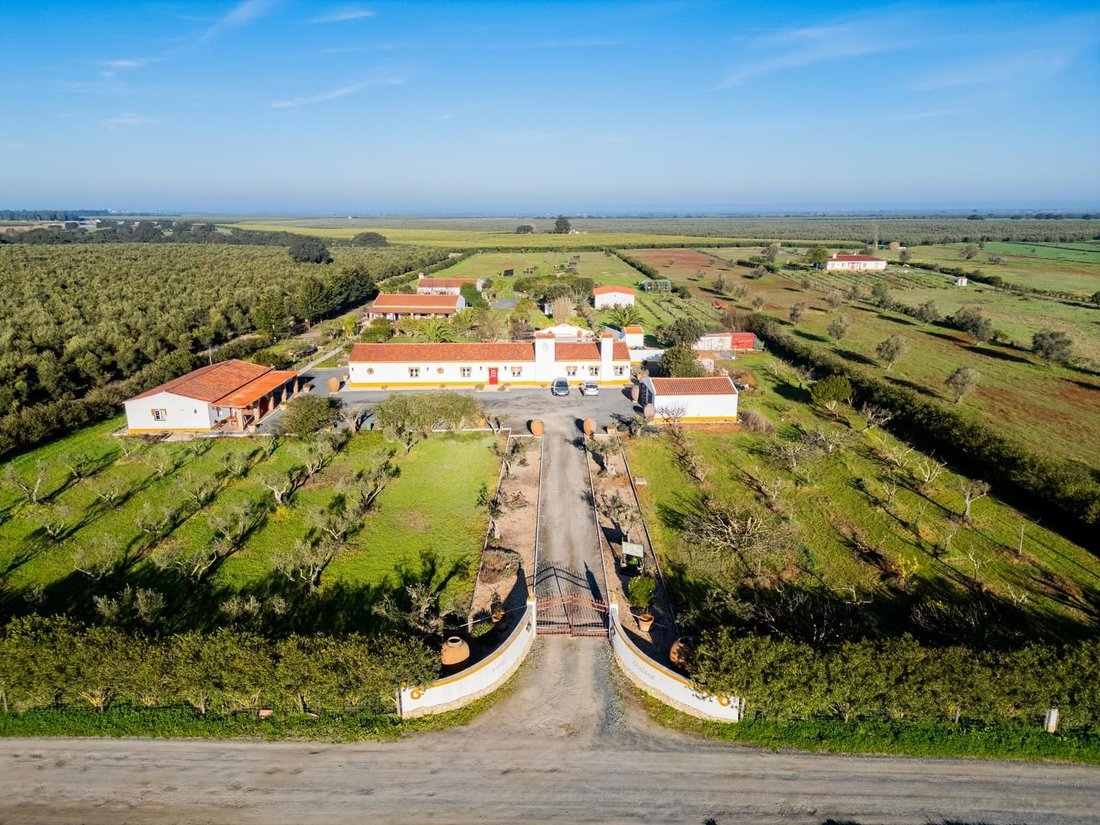 Country House in Ferreira do Alentejo e Canhestros, Beja District, Portugal 1 - 16465803