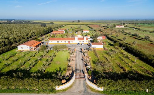 Country House in Ferreira do Alentejo e Canhestros, Beja District, Portugal 1