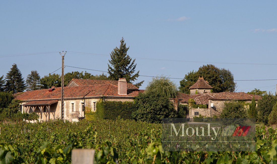 Estate in Prayssac, Occitania, France 5 - 16461877