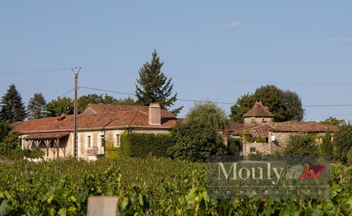 Castle for Sale in Prayssac, Occitanie, France