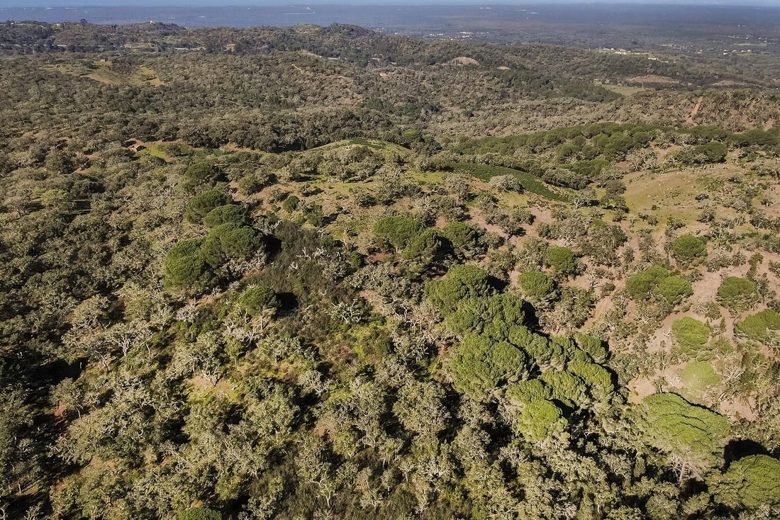 Land in Grandola e Santa Margarida da Serra, Setubal, Portugal 1 - 16465810