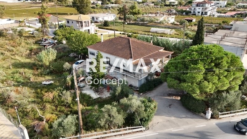 House in Ampelokipon, Peloponnese, Western Greece and the Ionian, Greece 1 - 16460899