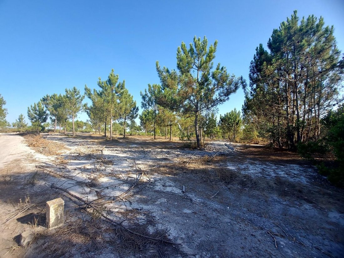 Land in Santo Andre, Setubal, Portugal 4 - 16465888