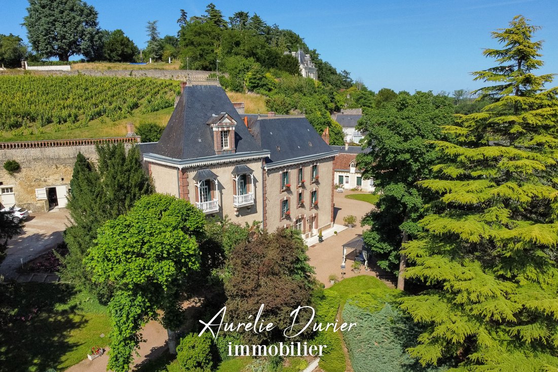 Estate in Vernou-sur-Brenne, Centre-Val de Loire, France 1 - 16463178