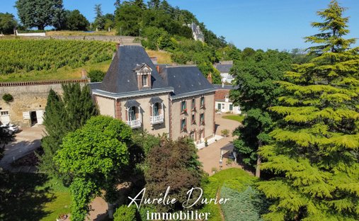 Estate in Vernou-sur-Brenne, Centre-Val de Loire, France 1