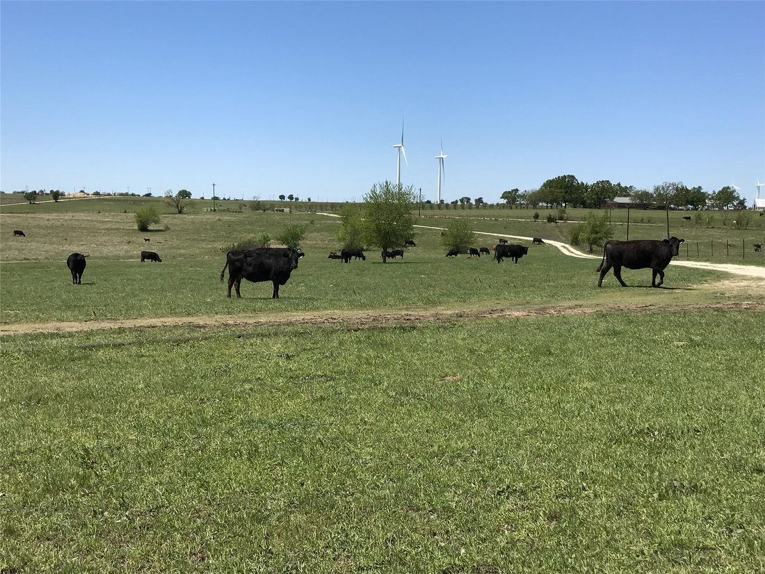 Land in Muenster, Texas, United States 3 - 16460675