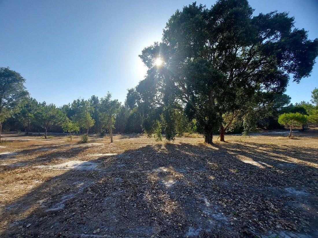 Land in Santo Andre, Setubal, Portugal 1 - 16465888