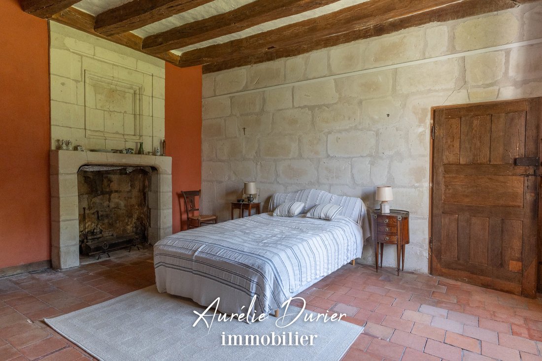 Estate in Grammont, Tours, France 5 - 16463109