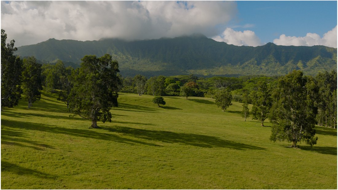 Land in Kilauea, Hawaii, United States 3 - 16463758