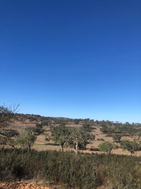 Land in Cercal, Setubal, Portugal 1 - 16465841