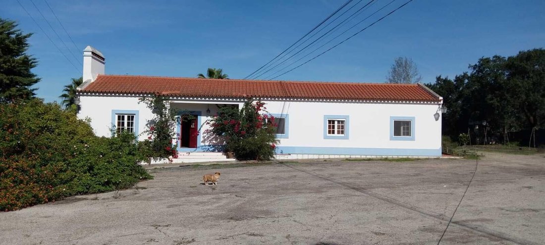 Villa in Alcacer do Sal, Setubal, Portugal 3 - 16465154