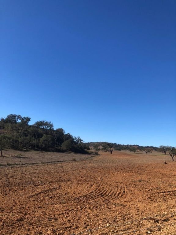 Land in Cercal, Setubal, Portugal 5 - 16465841