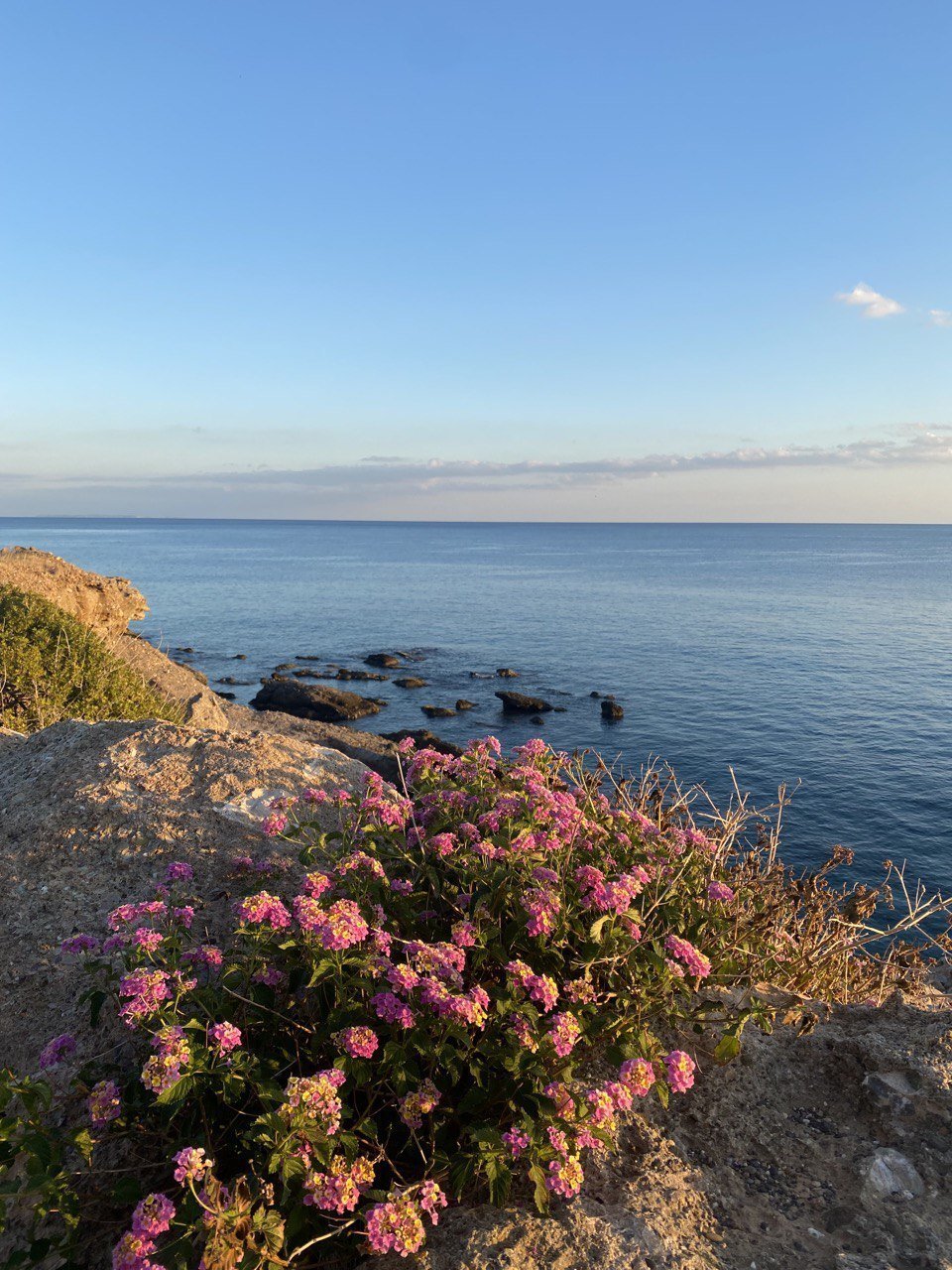 Community of Schinokapsala, Makry Gialos, Greece 2 - 16460886