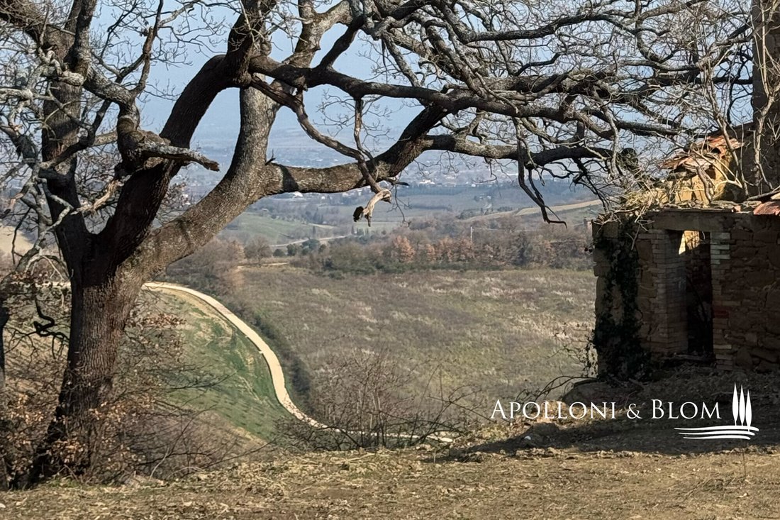 House in Torrita di Siena, Tuscany, Italy 4 - 16461101