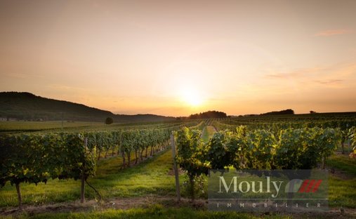 Castle for Sale in Prayssac, Occitanie, France