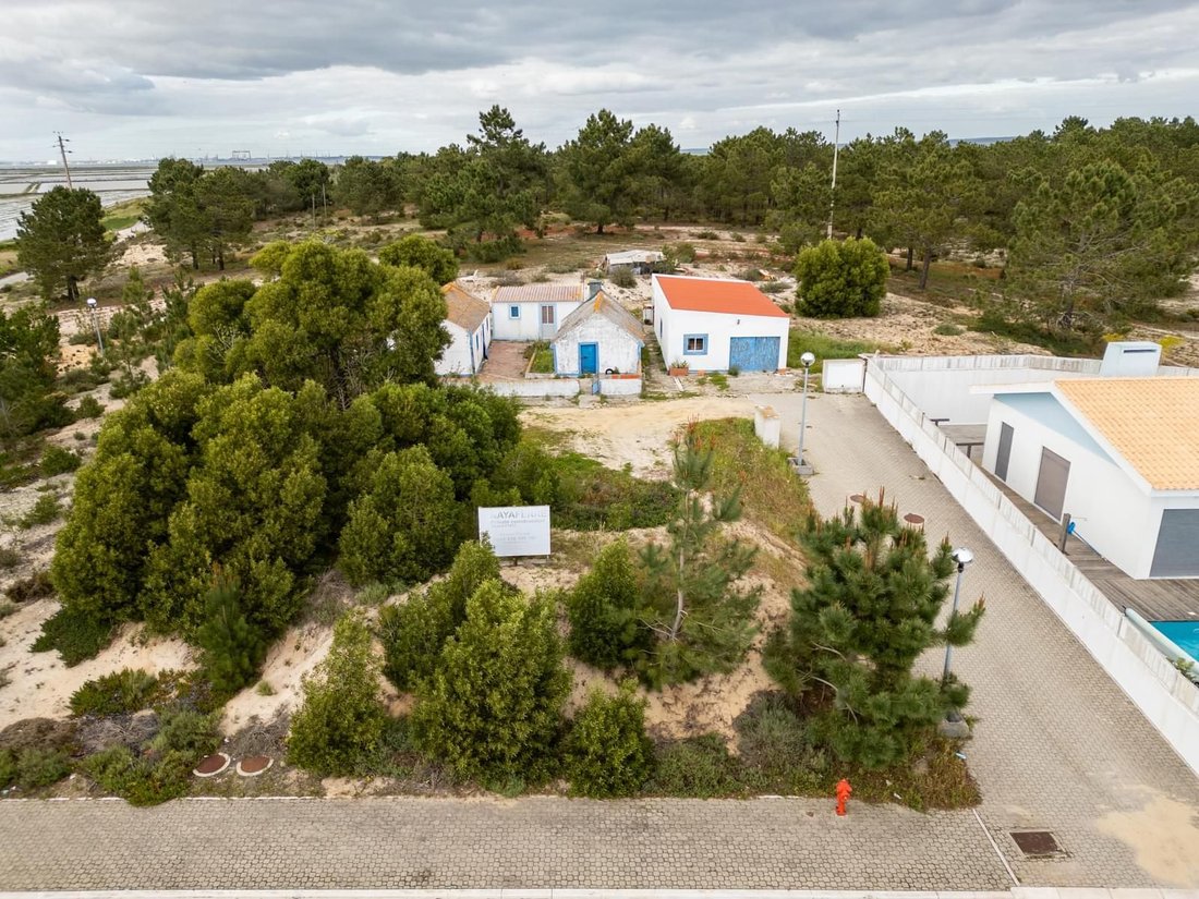 Comporta, Setubal, Portugal 2 - 16466067