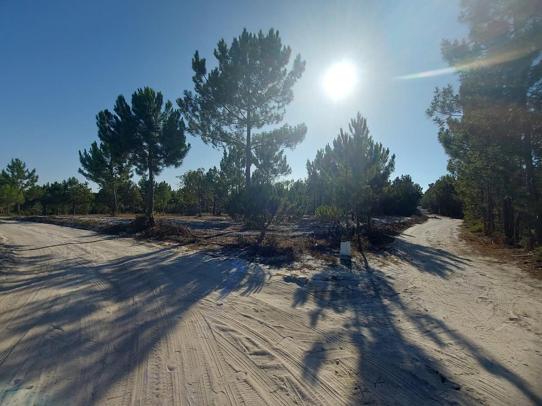 Land in Santo Andre, Setubal, Portugal 2 - 16465888