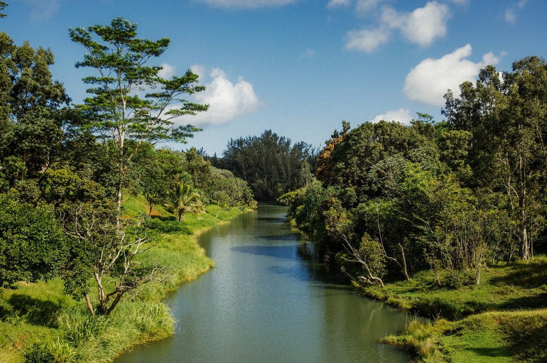 Land in Kilauea, Hawaii, United States 4 - 16463758