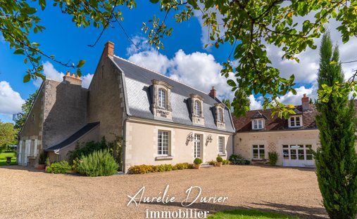 Estate in Grammont, Tours, France 1