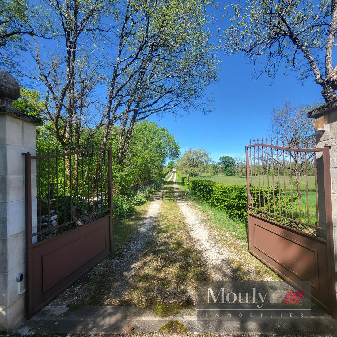 Estate in Martel, Occitania, France 5 - 16461701