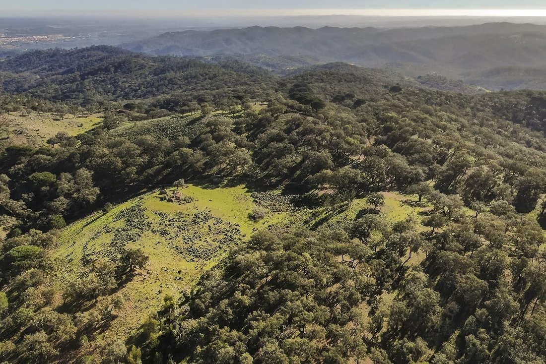 Land in Grandola e Santa Margarida da Serra, Setubal, Portugal 4 - 16465810