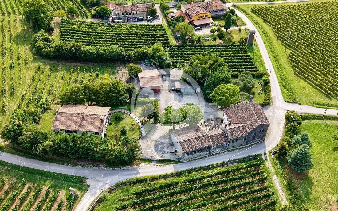 Villa in Vò, Veneto, Italy 2 - 16464742