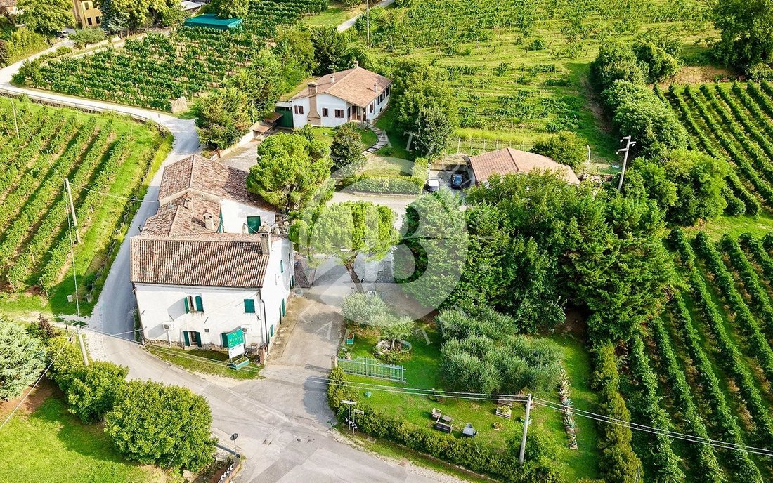 Villa in Vò, Veneto, Italy 3 - 16464742