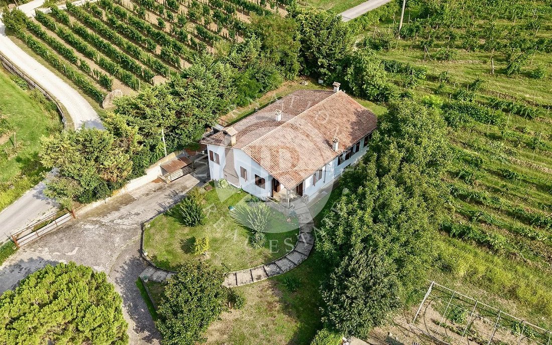 Villa in Vò, Veneto, Italy 1 - 16464742