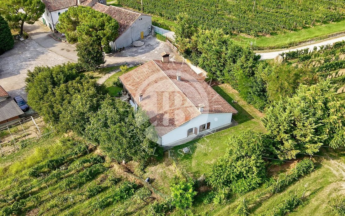 Villa in Vò, Veneto, Italy 5 - 16464742