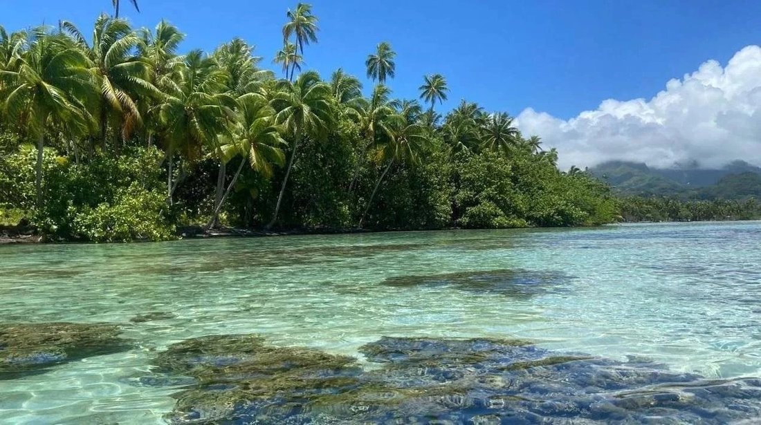 Estate in Uturoa, Leeward Islands, French Polynesia 5 - 14936645