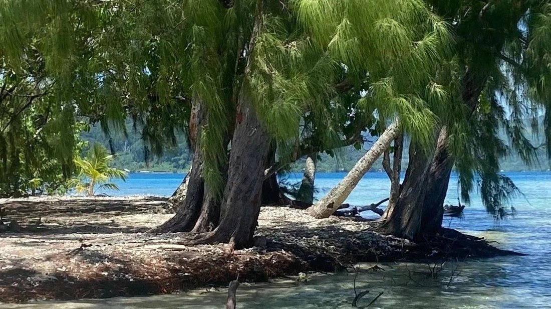 Estate in Uturoa, Leeward Islands, French Polynesia 4 - 14936645