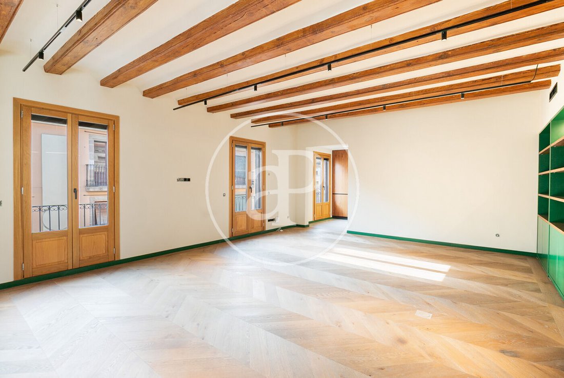 Penthouse in Ciutat Vella, Barcelona, Spain 1 - 16465189