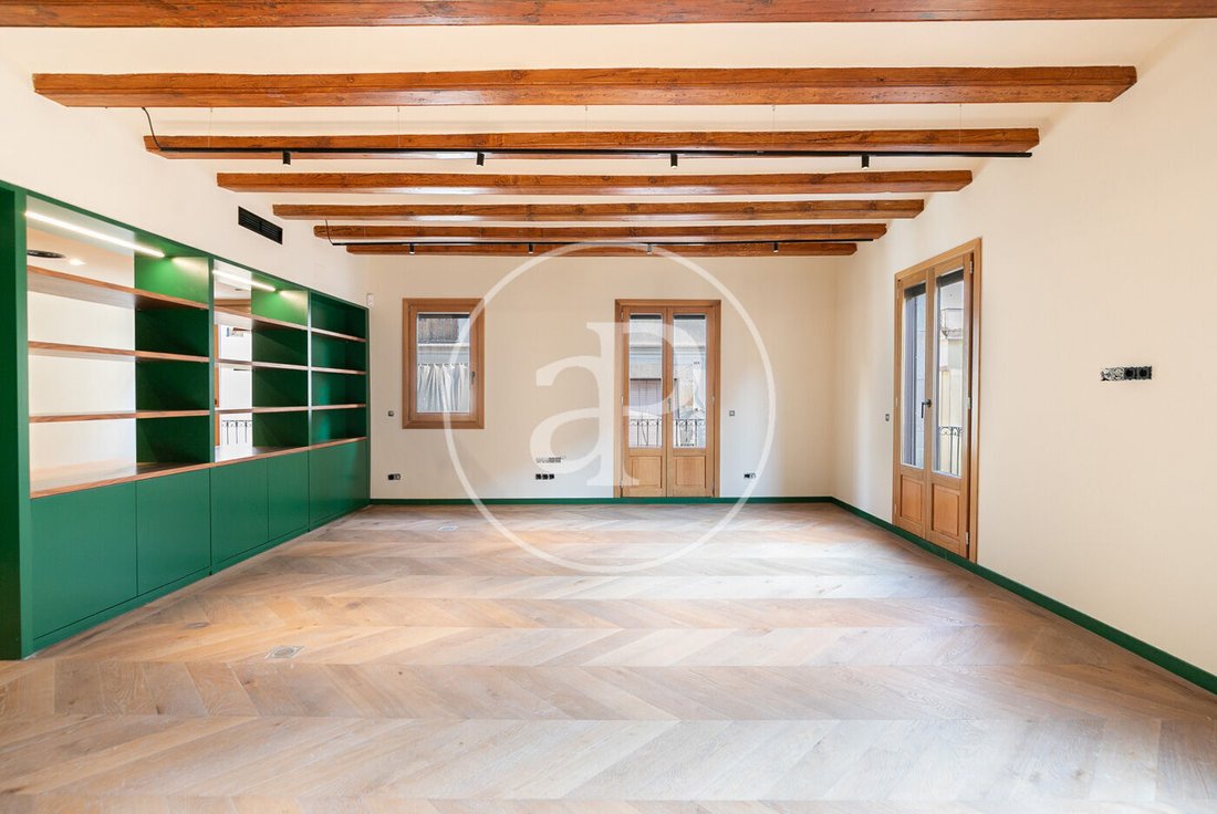 Penthouse in Ciutat Vella, Barcelona, Spain 4 - 16465189