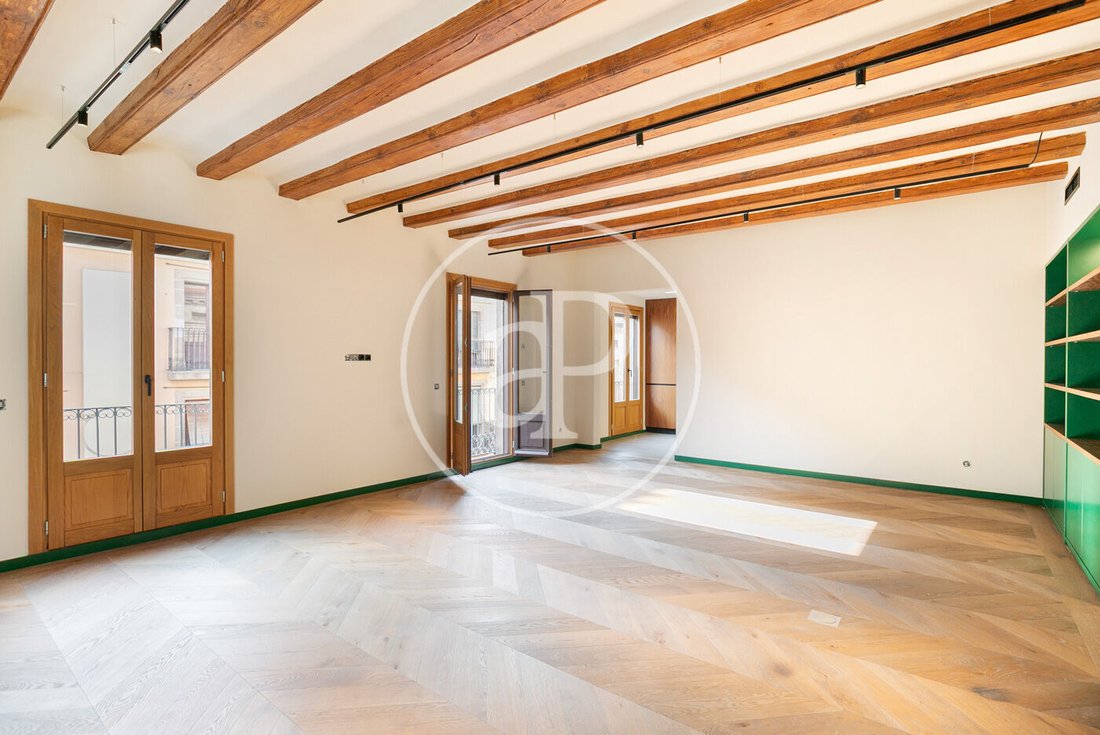 Penthouse in Ciutat Vella, Barcelona, Spain 3 - 16465189