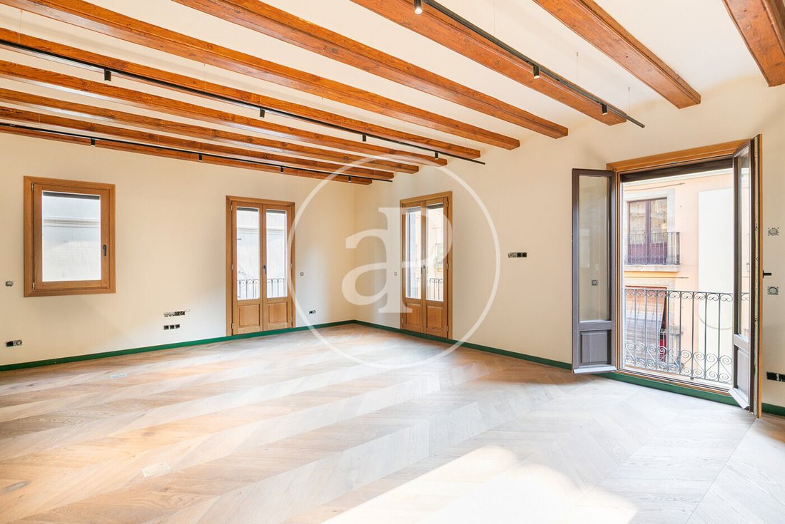 Penthouse in Ciutat Vella, Barcelona, Spain 5 - 16465189