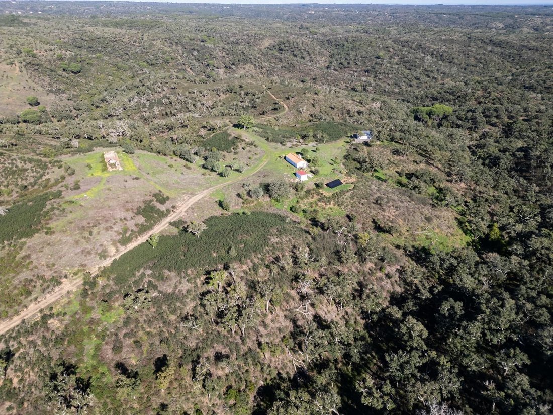 Land in Santiago do Cacem, Santa Cruz e Sao Bartolomeu da Serra, Setubal, Portugal 2 - 16468895