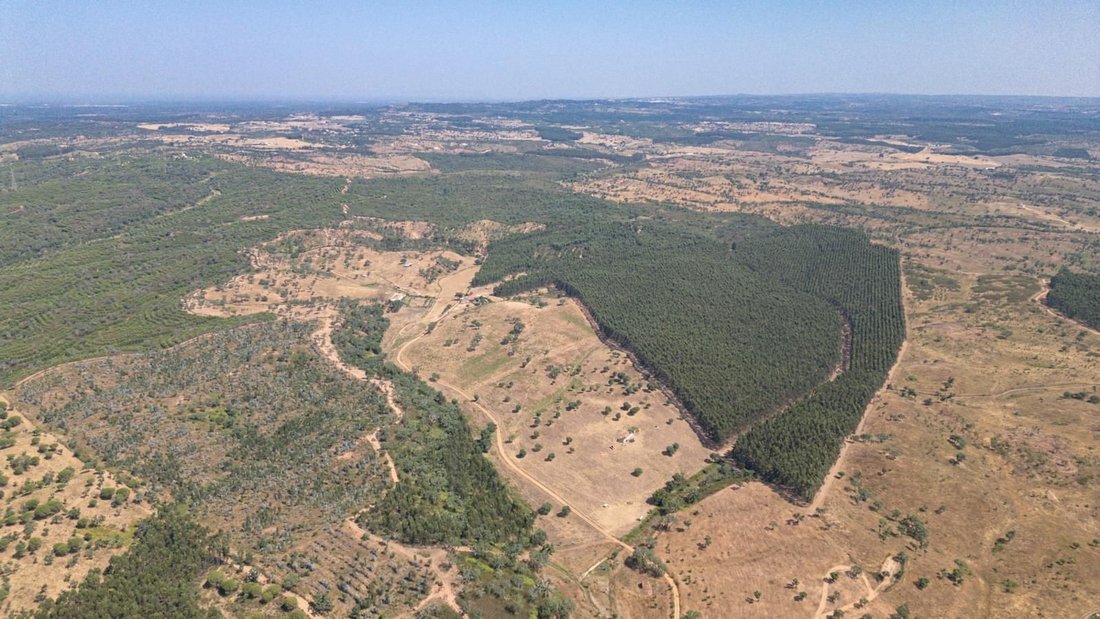 Land in Sao Domingos e Vale de Agua, Setubal, Portugal 1 - 16468879