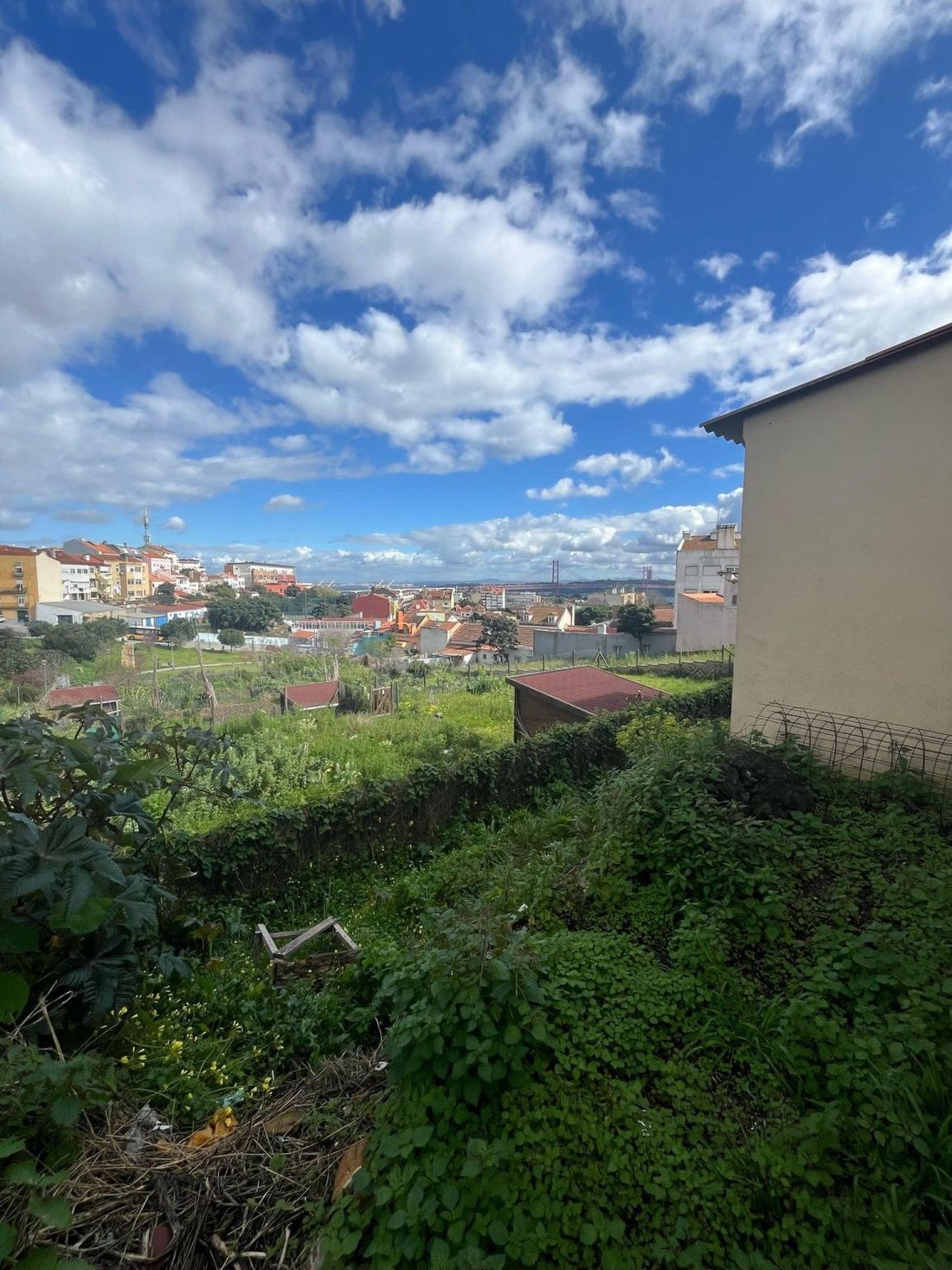 Ajuda, Lisbon, Portugal 2 - 16468145